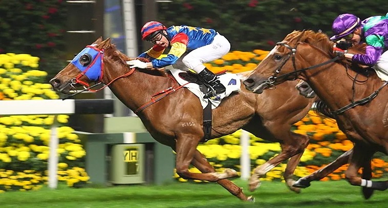 Cách Chơi Cá Cược Đua Ngựa Tại Letou: Hướng Dẫn Chi Tiết 8 Cách Chơi Cá Cược Đua Ngựa Tại Letou: Hướng Dẫn Chi Tiết